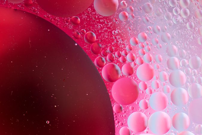 Abstract pink and red water bubbles
