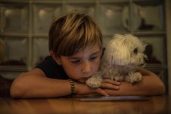 Boy hugging bichon dog
