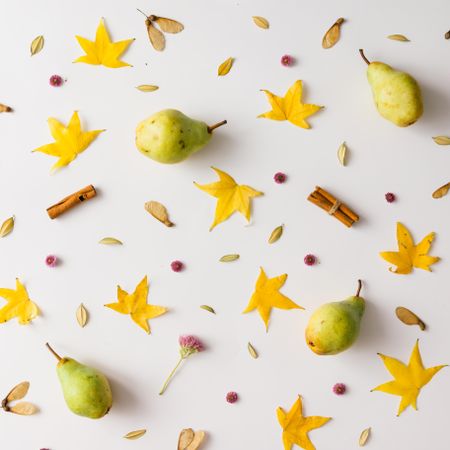 Colorful autumn pattern made of pears, leaves and flowers