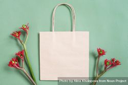 Plain paper shopping bag with plants on plain background 5pL3w5