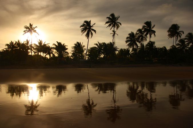 Silhouette of palm trees across body of water during sunset in Brazil
