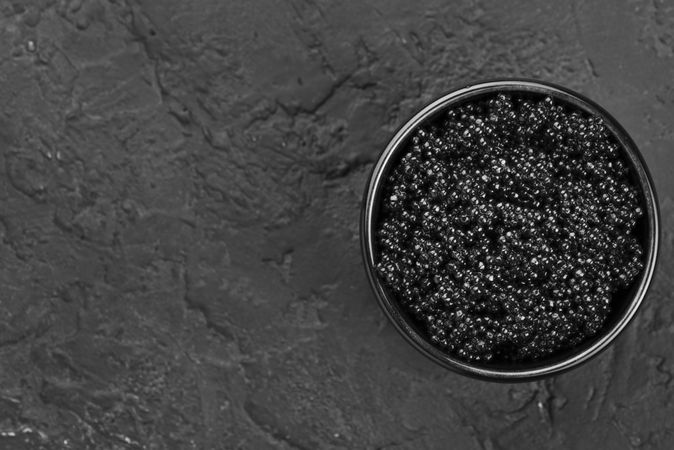 Caviar bowl with copy space