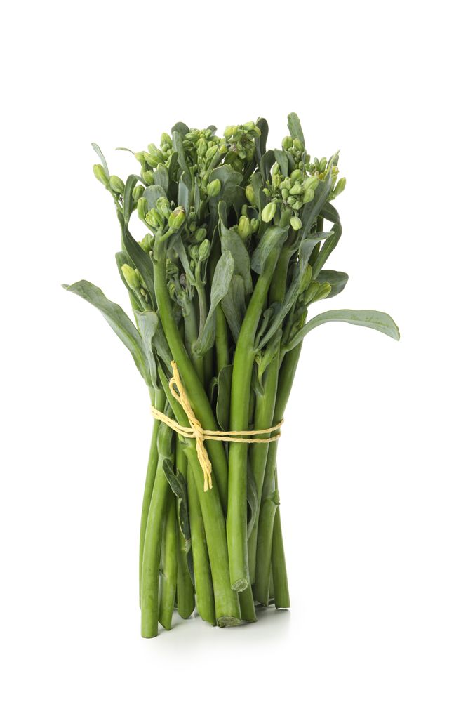 Fresh green broccolini isolated on blank background