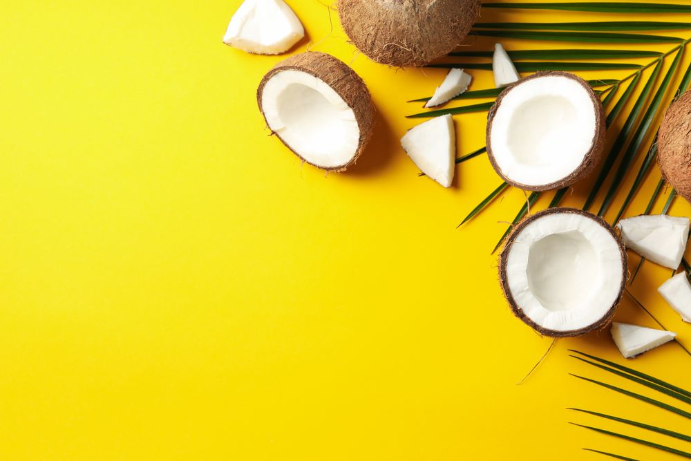 Coconut and palm branch on yellow background. Tropical fruit
