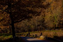 Lonely woman sitting in autumn part