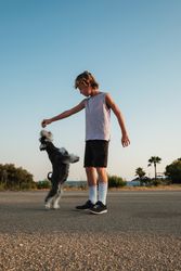 Boy spending time with dog on road in countryside