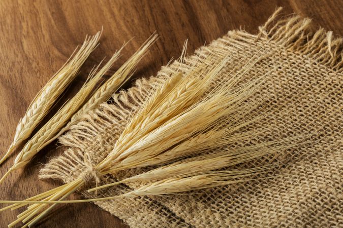 Ears of wheat on wooden background.