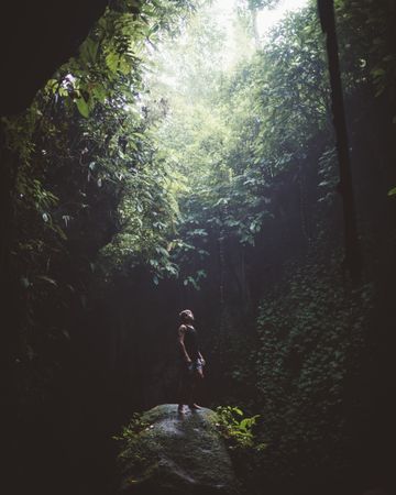 Man on rock in mysterious tropical woods