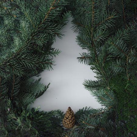 Christmas pine tree branches surrounding paper tree