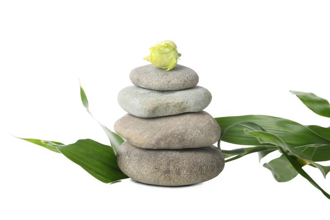 Four stones, rose and leaves, isolated on plain background