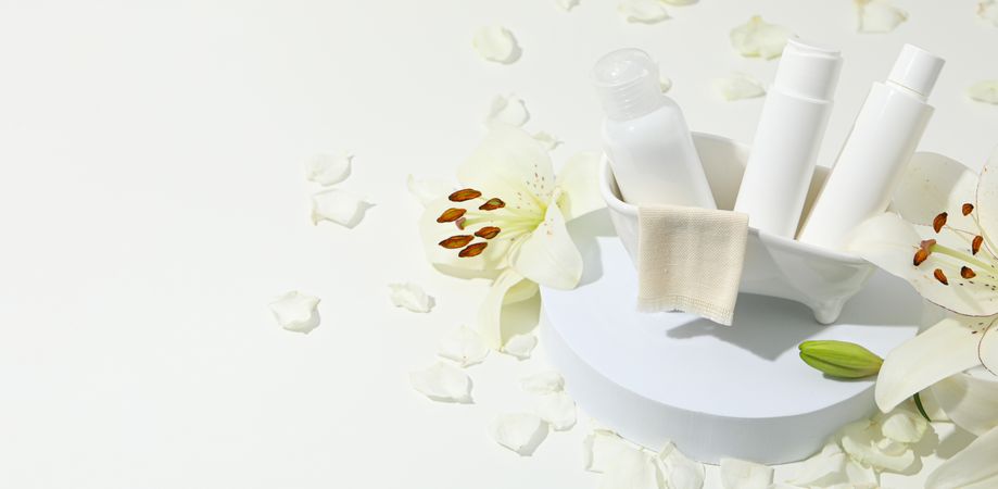 Concept of cosmetic and beauty care, space for text