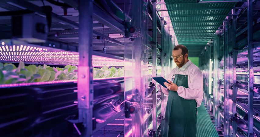 Agricultural Scientist Standing in a Corridor in a Vertical Farm Facility Next to Rack with Freshly Grown Plants. Hydroponics Technician Using a Tablet Computer, Studying and Cultivating Crops