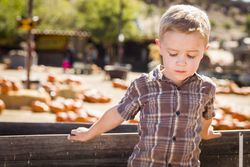 Boy Standing Against Old Wood Wagon at Pumpkin Patch