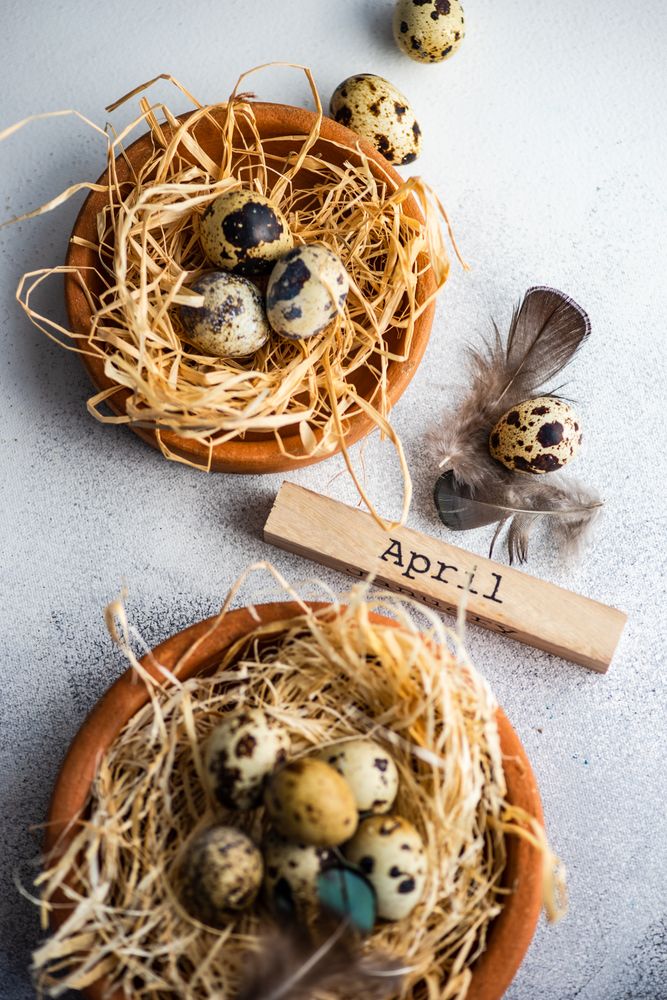 Easter card concept with top view of two small bird nests and "April" on block
