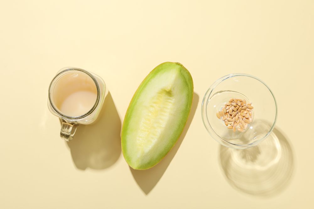 Juicy and tasty summer time fruit concept - melon