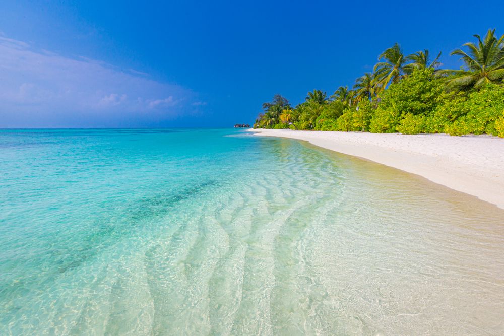 Landscape shot of crystal clear waters coming up on a tropical beach with palm trees