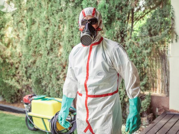 Man in suit for fumigation in yard