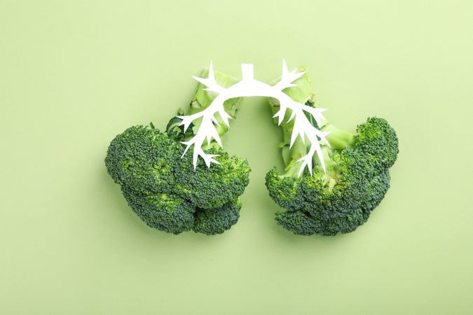 Two stalks of broccoli in lung shape on green background