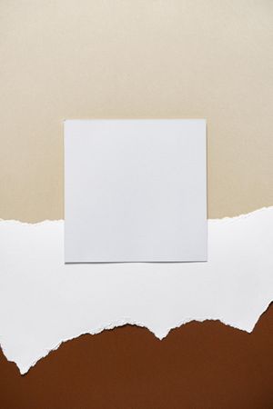 Earthy brown, beige and light torn paper background with square card