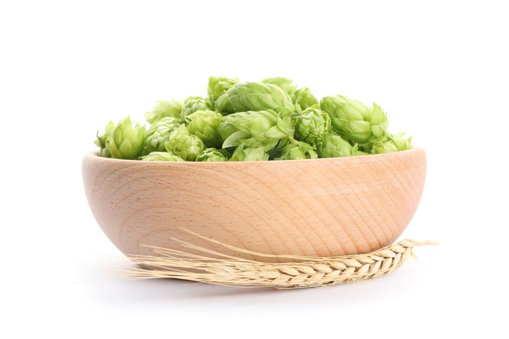 Spikelets and wooden bowl with hop isolated on plain background