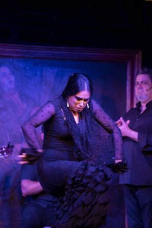 Flamenco performance on stage