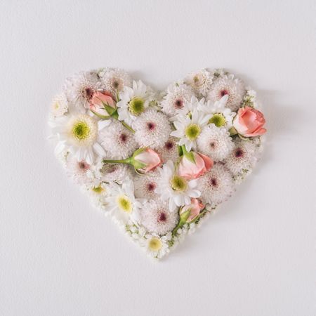 Wild daisy flowers in heart shape light  background