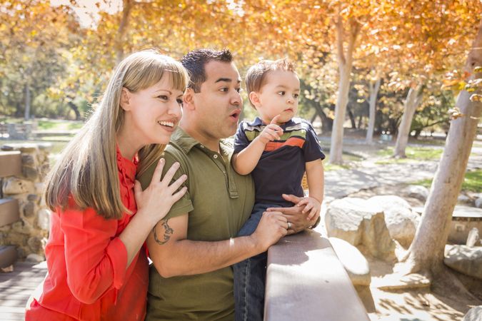 Family Enjoy a Sunny Day at The Park