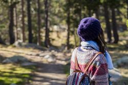 Back of female standing in forest on sunny day with camera