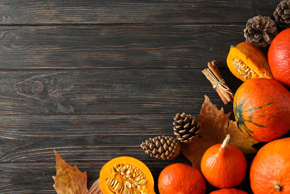 Composition with pumpkins, pine cones and leaves on wooden background, copy space