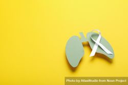 Green lungs cut out of paper with ribbon on yellow background with copy space 4dR9L0