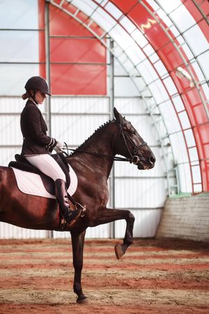 Woman riding show horse