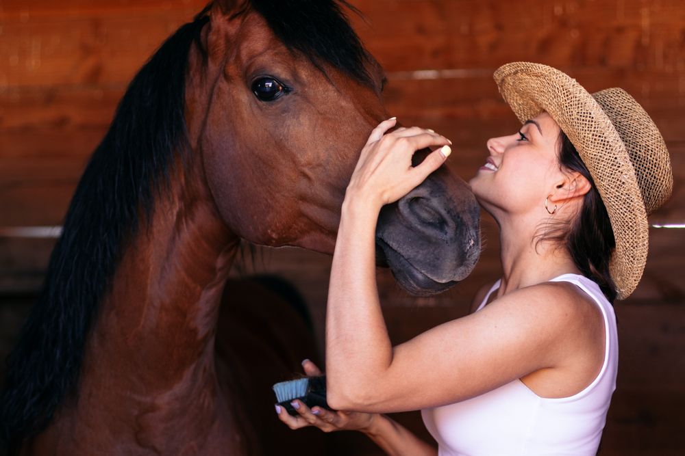 Woman taking care of his brown horse in an equestrian center