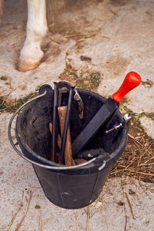 Bucket with tools of blacksmith of horses