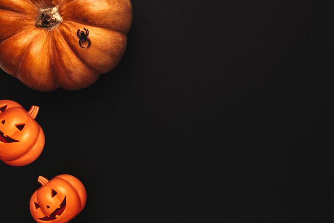 Toy pumpkin heads with spider on dark background