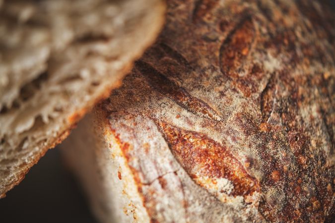 Organic sourdough bread crumb with whole wheat flour