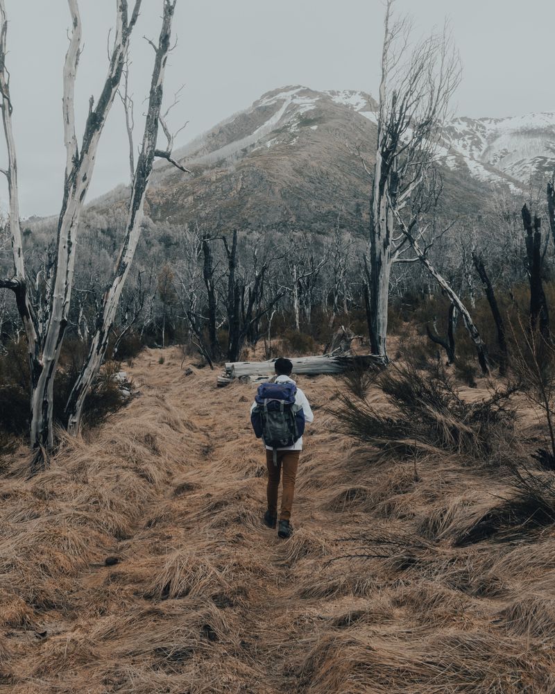Back view of man with backpack standing near mountains