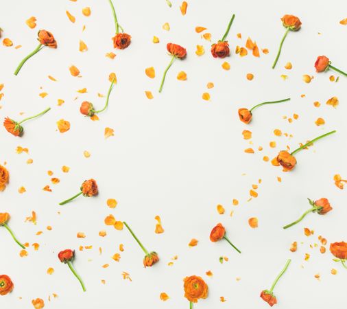 Orange floral pattern with empty copy space in the center