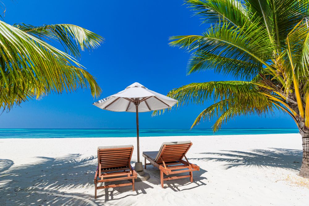 Reclining lounge chairs and palm trees on a tropical beach in the Maldives