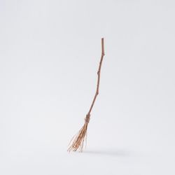 Broomstick on light background