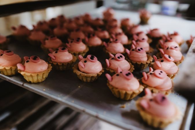 Tray with pig shaped desserts in bakery