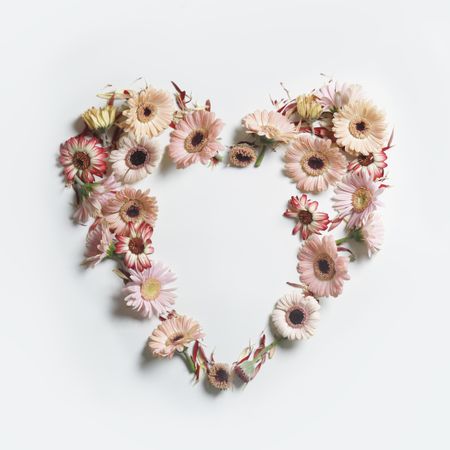 Heart frame made with various garden flowers