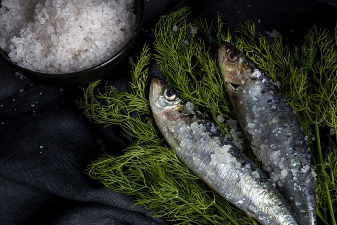 Homemade salted sardines on greens on plate
