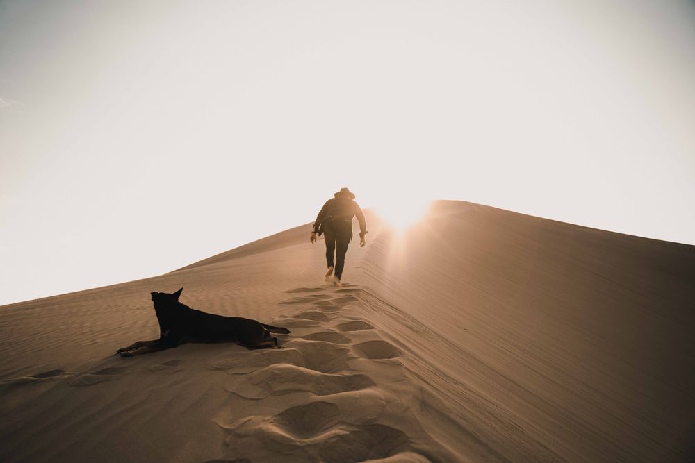 Silhouette of person walking in desert near dog lying on sand during golden hours