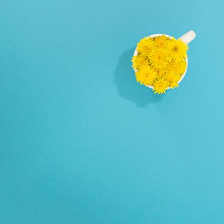 Mug with yellow flowers in water with copy space