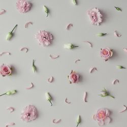 Flowers and leaves on marble background