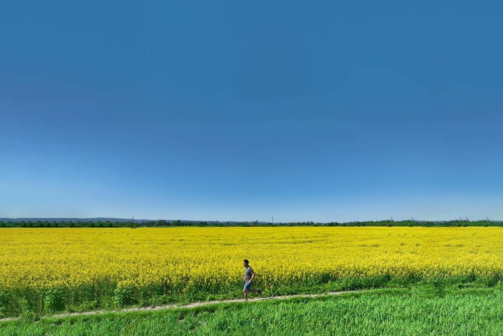 Man jogging through a scenic path, capturing vitality, wellness, and mental well-being
