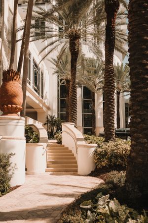 Palms near path to luxury building