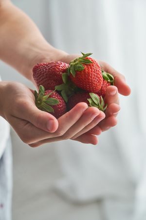 Crop person with handful of strawberries