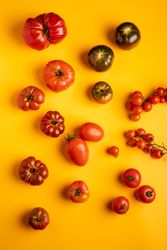 Set of assorted tomatoes
