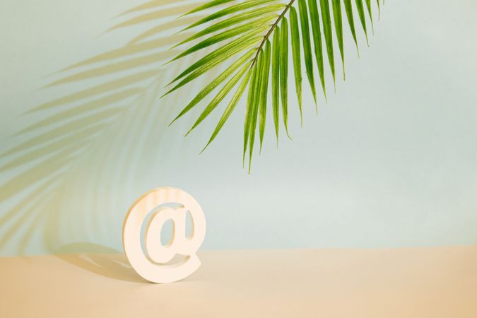 Internet “at” symbol under palm leaf in blue room